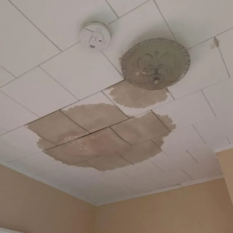 Ceiling Water Damage Repair in Clinton County, PA