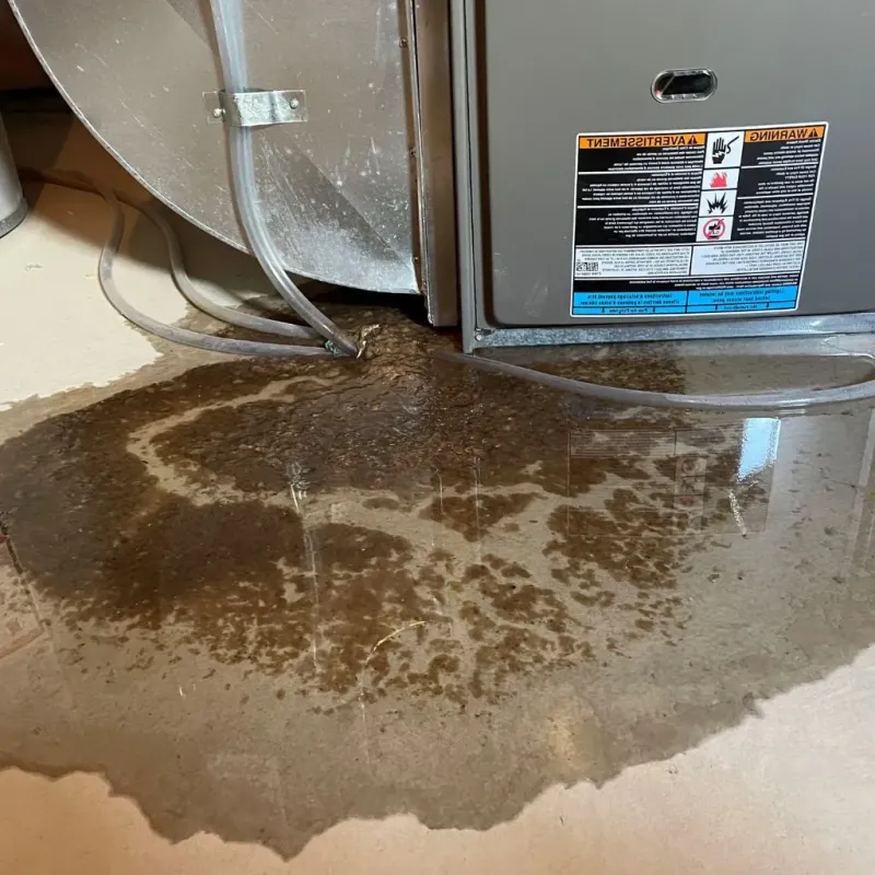Pipe Burst and Leak Restoration in Clinton County, PA
