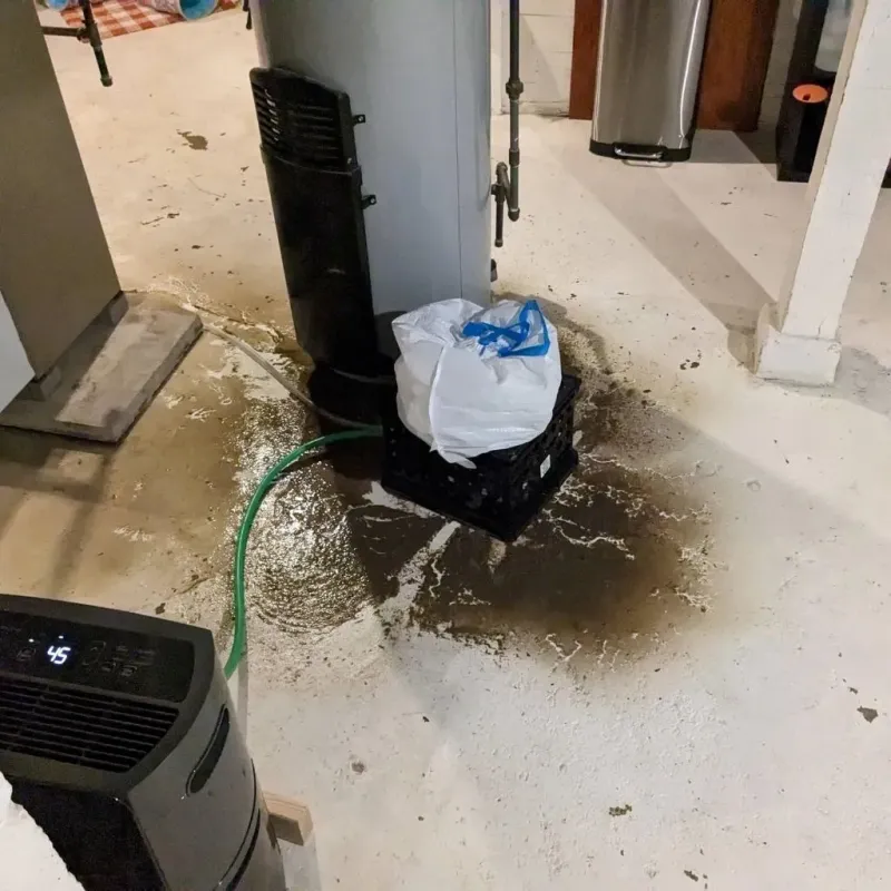 Sewage Backup Cleanup Service in Clinton County, PA